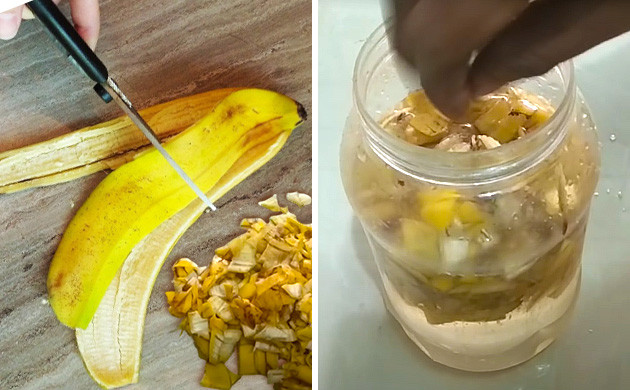 Banana peel tea recipe