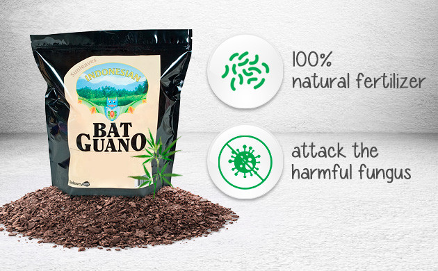 Benefits of bat guano