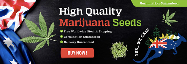 Cannabis Seeds Australia | Where To Buy Marijuana Seeds Online