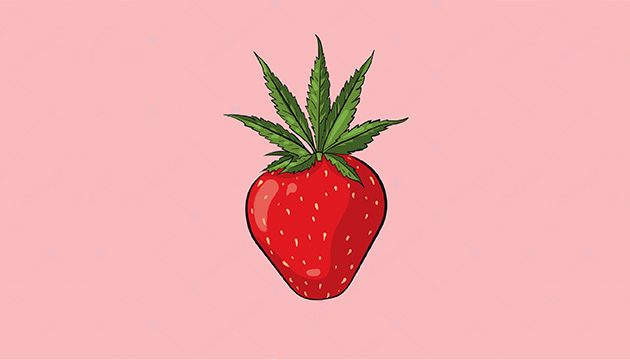 Strawberry weed strains